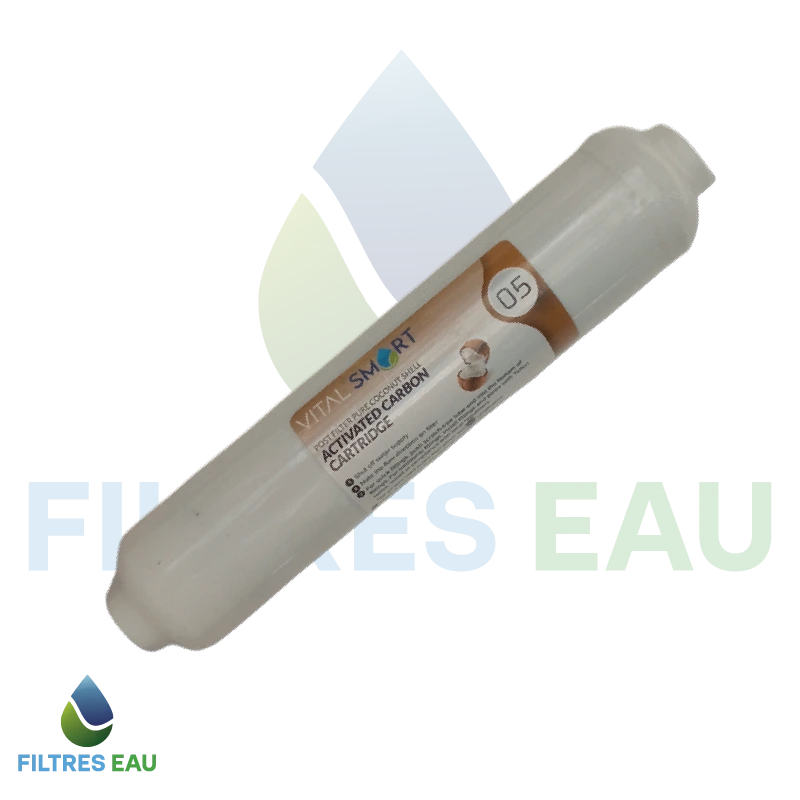 Filtre Post-Charbon VITAL SMART T33